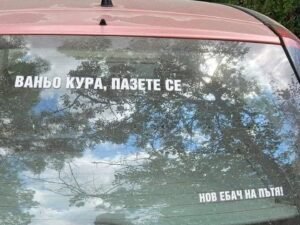 ваньо кура на пътя
